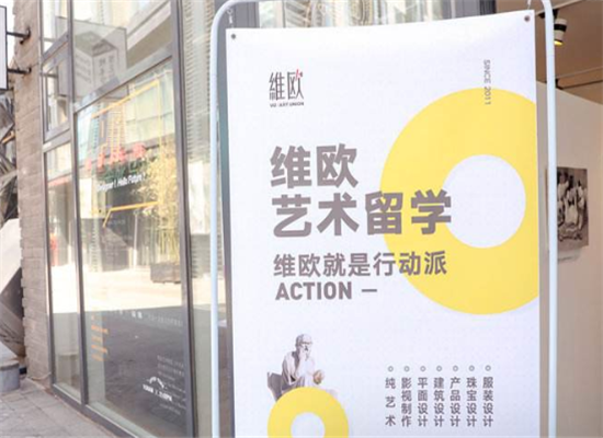 维欧艺术教育加盟