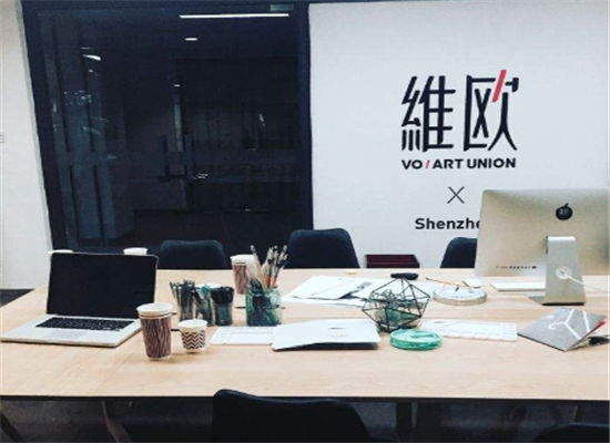 维欧艺术教育加盟