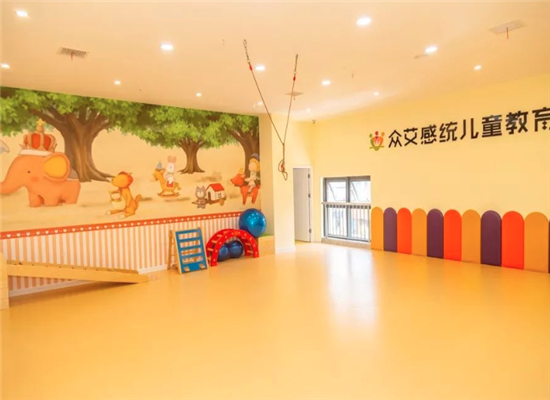 众艾感统儿童教育加盟 众艾感统儿童教育加盟
