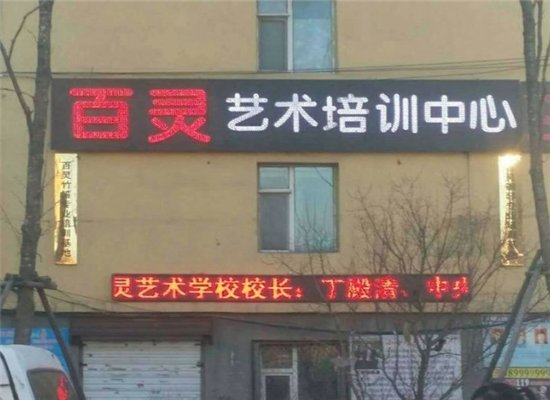 天河百灵艺术培训加盟