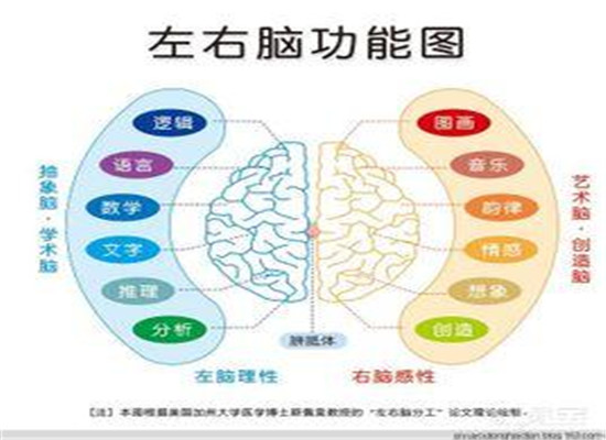 巴蜀右脑加盟