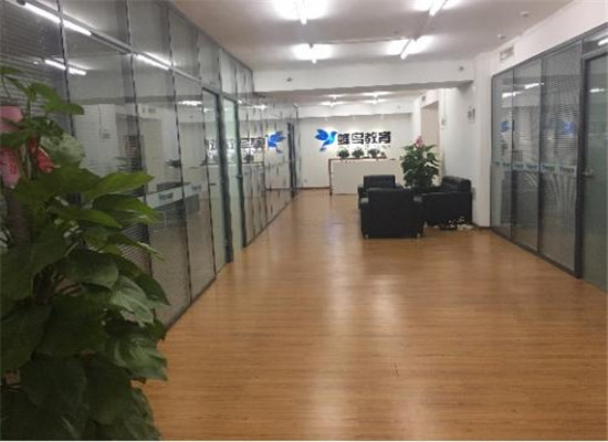 山东蜂鸟教育单词速记加盟