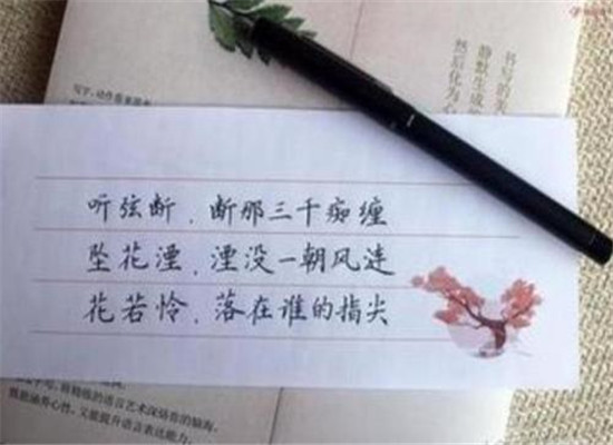 朱春晖练字教育加盟 朱春晖练字教育加盟